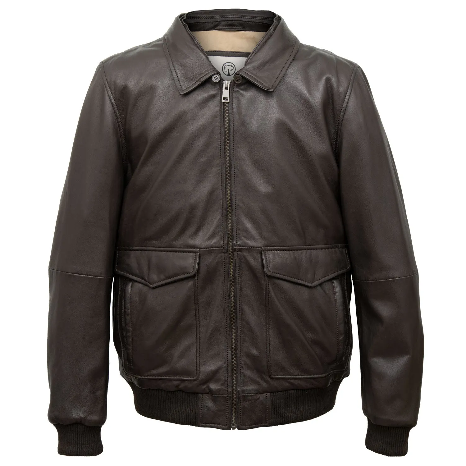 Ashton: Men's Brown Collared Leather Jacket