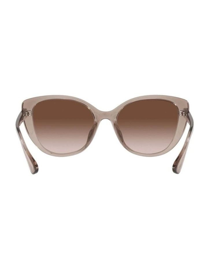 AX4111SU Beige Sunglasses